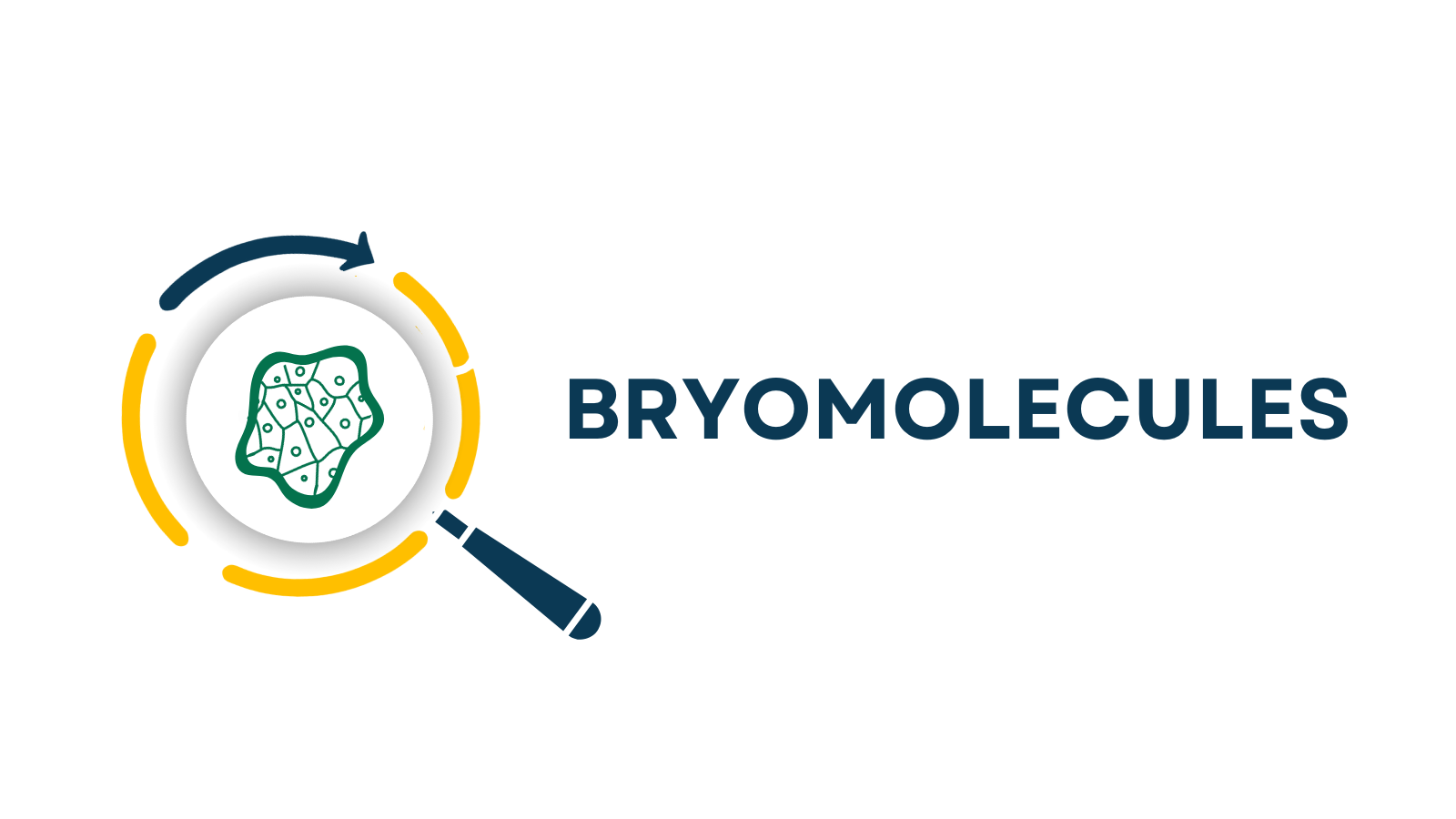Bryomolecules logo white background