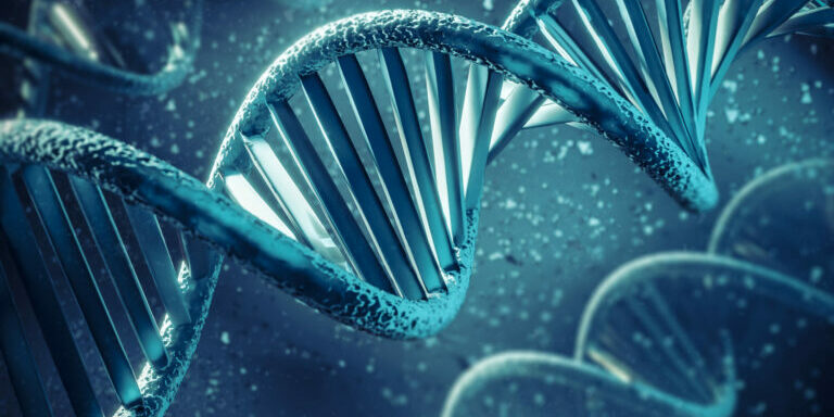 3D representation of DNA