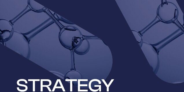 Screenshot 2025-09-12 at 16-26-49 ESF_Strategy_2024.pdf